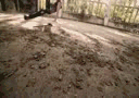 帅炸了,德国舞团酷炫短片《Life is a Dance》